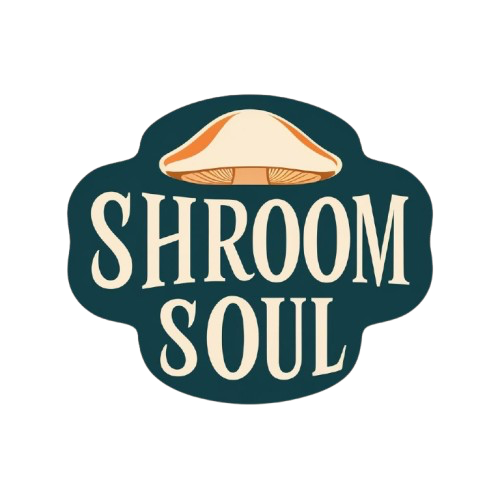 ShroomSoul logo in elegant serif typography, with a subtle mushroom design embedded into the wordmark. Set against a soft teal gradient background, reflecting the brand’s modern, calming, and wellness-oriented identity.